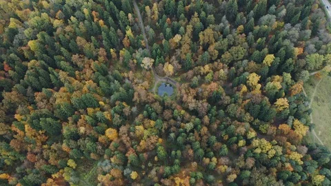 Top view fall colorful trees in park Stock Footage 122337425