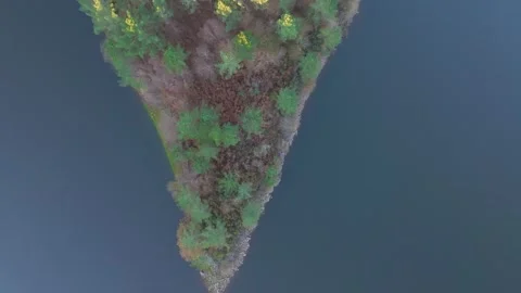 Top View Of Fall Trees On The Shore Of Ribeira Reservoir Stock Footage 261584794