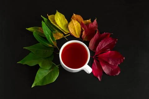 Top view fall wallpaper with cup hot drink in a white cup and bouquet of autu Stock Photos