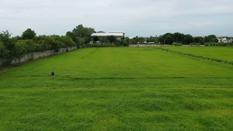 Top view of farmers cutting grass DJI 0068 Stock Footage 121459331