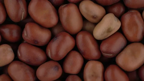 Top view of fava beans rotating. Closeup. Macro. Stock Footage 170449511