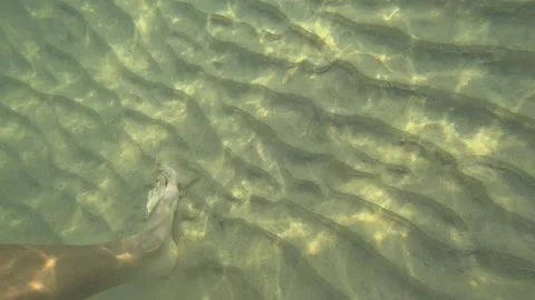 Top view of feet walking over the sand Stock Footage 141180652