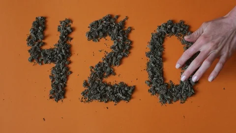 Top view female hands make a sign 420 from a hemp buds on red background Stock Footage 112306824
