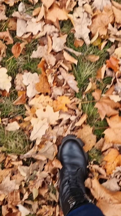 Top view of female legs walking in autumn park Stock Footage 345681976