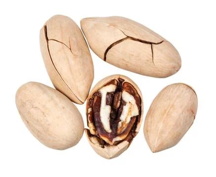 Top view of few pecans in shell isolated on white Stock Photos