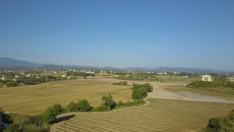 Top view of a field and trees. The drone falls down. On the horizon passing cars Stock-Footage 93259942