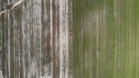 Top view on the field. Drone video. Video stock 160919443