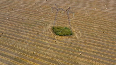 Top view of the field during haymaking. Round haystacks are scattered across the Stock Footage 114159301