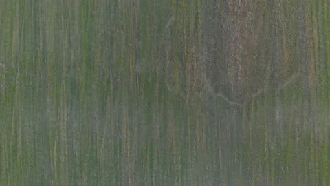 Top View Of Field Stock Footage 152692293