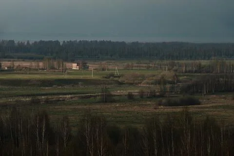 Top view of a field with trees Stock Photos