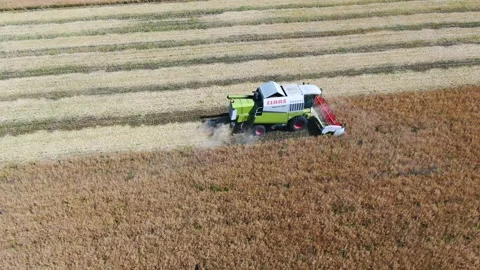 Top view of field work in rapeseed field Stock Footage 144875091
