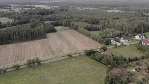 Top view of fields after harvest surrounded by greenery and trees Stock Footage 252039076