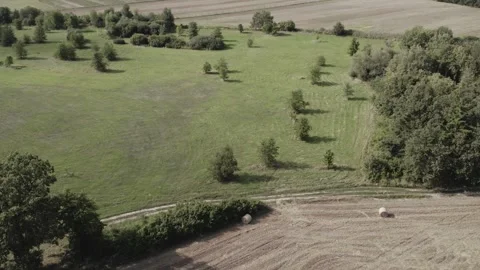 Top view of fields after harvest surrounded by greenery and trees Stock Footage 252039159