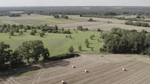 Top view of fields after harvest surrounded by greenery and trees Stock Footage 252039345