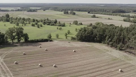 Top view of fields after harvest surrounded by greenery and trees Stock Footage 252039414