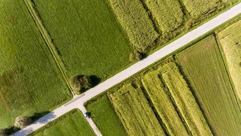 Top view of fields. Stock Photos