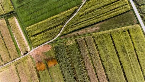 Top view of fields. Stock Photos