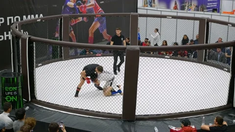 Top view of fights without rules, fighte... | Stock Video | Pond5