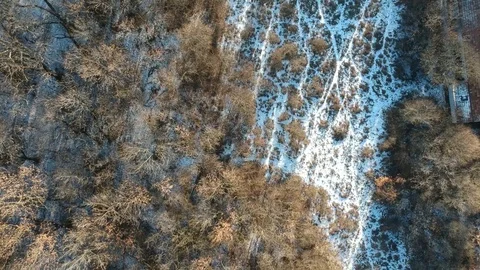 Top view of a fild at winter Stock Footage 101911807