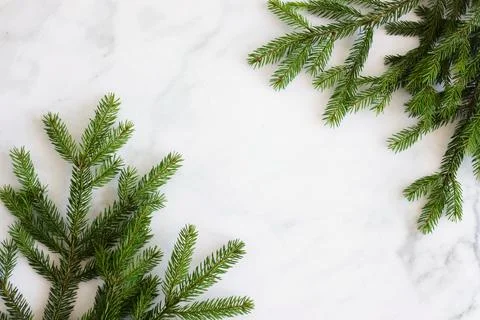 Top view fir tree branches frame on marble background. Christmas backdrop Stock-Fotos