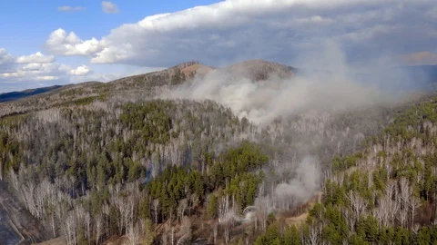 Top view of a fire erupted in the forest Video stock 129417976