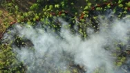 Top View Of A Fire Erupted In The Forest. Forest Wid Fire, Aerial View. Burning Stock Footage