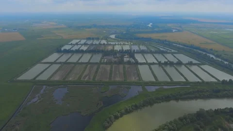 Top view of the fish farm Video stock 316721944