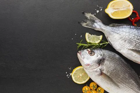 Top view fish frame with copy space Resolution and high quality beautiful photo Stock Photos