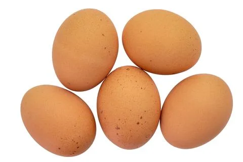 Top view of five brown speckled eggs isolated on a white background with 库存照片