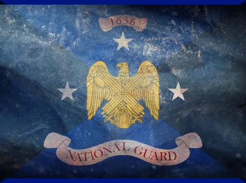 Top view of flag of Vice Chief of the National Guard Bureau, no flagpole. Pla Stock Illustration