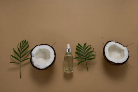 Top view flat lay coconut half, palm leaves and coconut oil bottle on a beige Stock Photos
