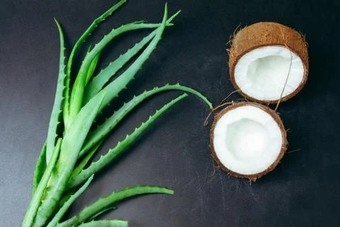 Top view flat lay cracked coconut and green aloe vera plant leaves Stock Photos