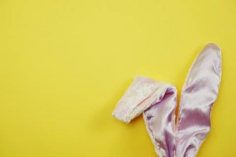 Top view flat lay Easter bunny rabbit ears symbol happy easter holiday backgr Stock Photos