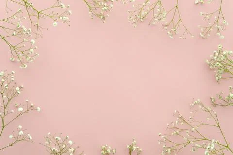 Top view. Flat lay frame made of flowers on pink background with copy space for Stock Photos