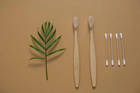 Top view flat lay pattern bamboo tooth brushes, cotton ear sticks, tropical p Stock Photos