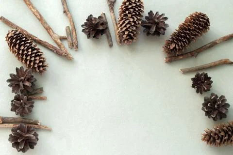 Top view flat lay pine cones and wooden branches frame on a gray background Stock Photos