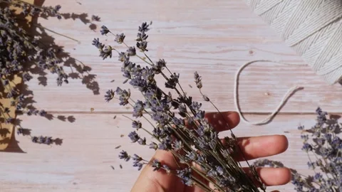 Top view flat lay of process making bouquets of dried lavender flowers. Cotton Stock Footage 266112677