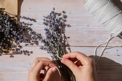 Top view flat lay of process making bouquets of dried lavender flowers. Cotton 写真素材