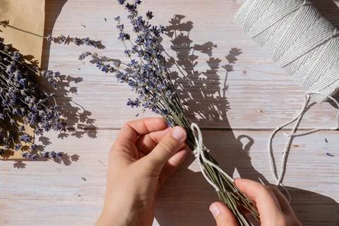 Top view flat lay of process making bouquets of dried lavender flowers. Cotton Foto stock