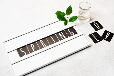 Top view flat lay Spring word on lightbox Stock Photos