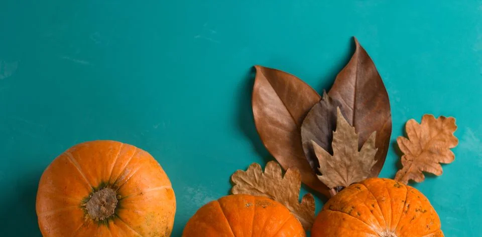 Top view flat lay three pumpkins on a blue background copy space web site ban Stock Photos