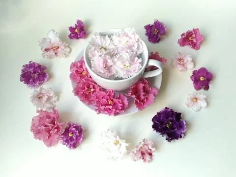 Top view, flat layout, floral arrangement with Cup Stock Photos