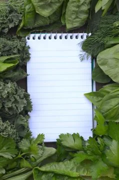 Top view flat layout frame of fresh culinary herbs and green leaf vegetables Stock Photos