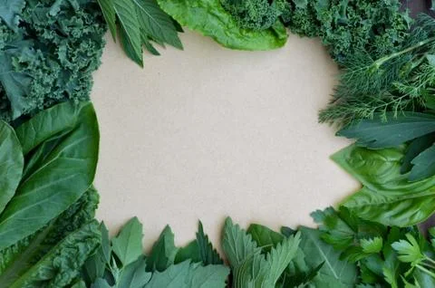 Top view flat layout frame of fresh culinary herbs and green leaf vegetables Stock Photos