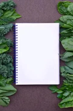 Top view flat layout frame of fresh culinary herbs and green leaf vegetables Stock Photos