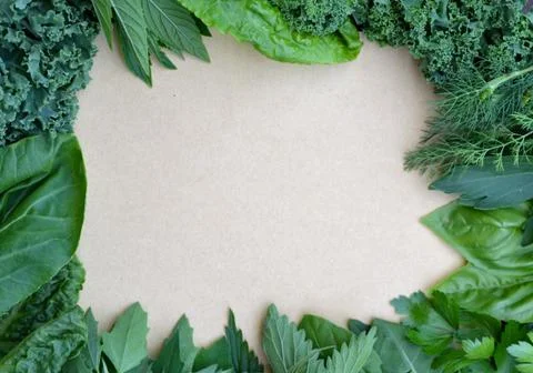 Top view flat layout frame of fresh culinary herbs and green leaf vegetables Stock Photos