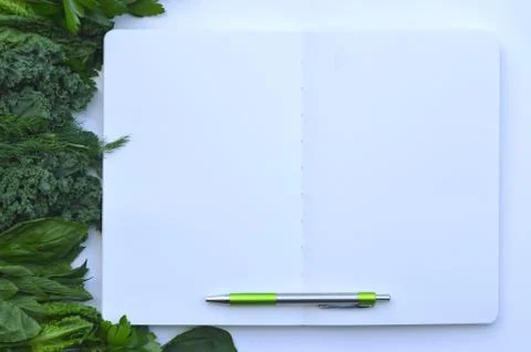 Top view flat layout frame of fresh culinary herbs and green leaf vegetables Stock Photos