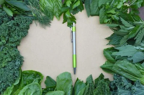 Top view flat layout frame of fresh culinary herbs and green leaf vegetables 写真素材