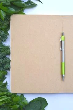 Top view flat layout frame of fresh culinary herbs and green leaf vegetables Stock Photos