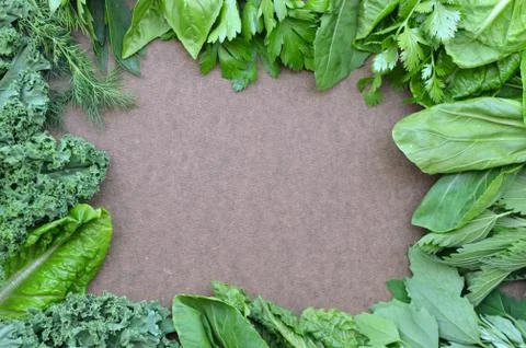 Top view flat layout frame of fresh culinary herbs and green leaf vegetables Stock Photos